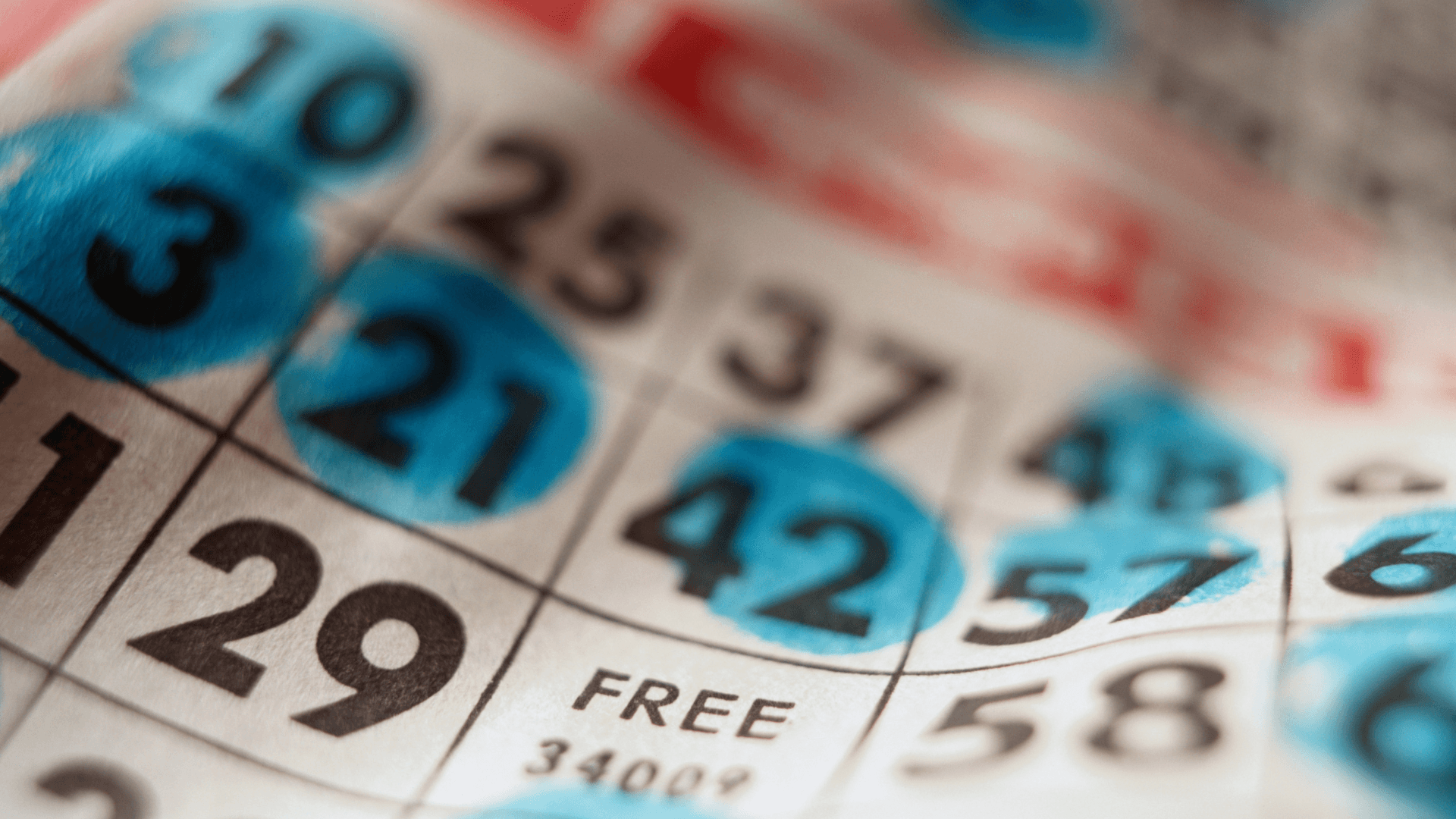 Tudo sobre cartões e chamadas de bingo online image